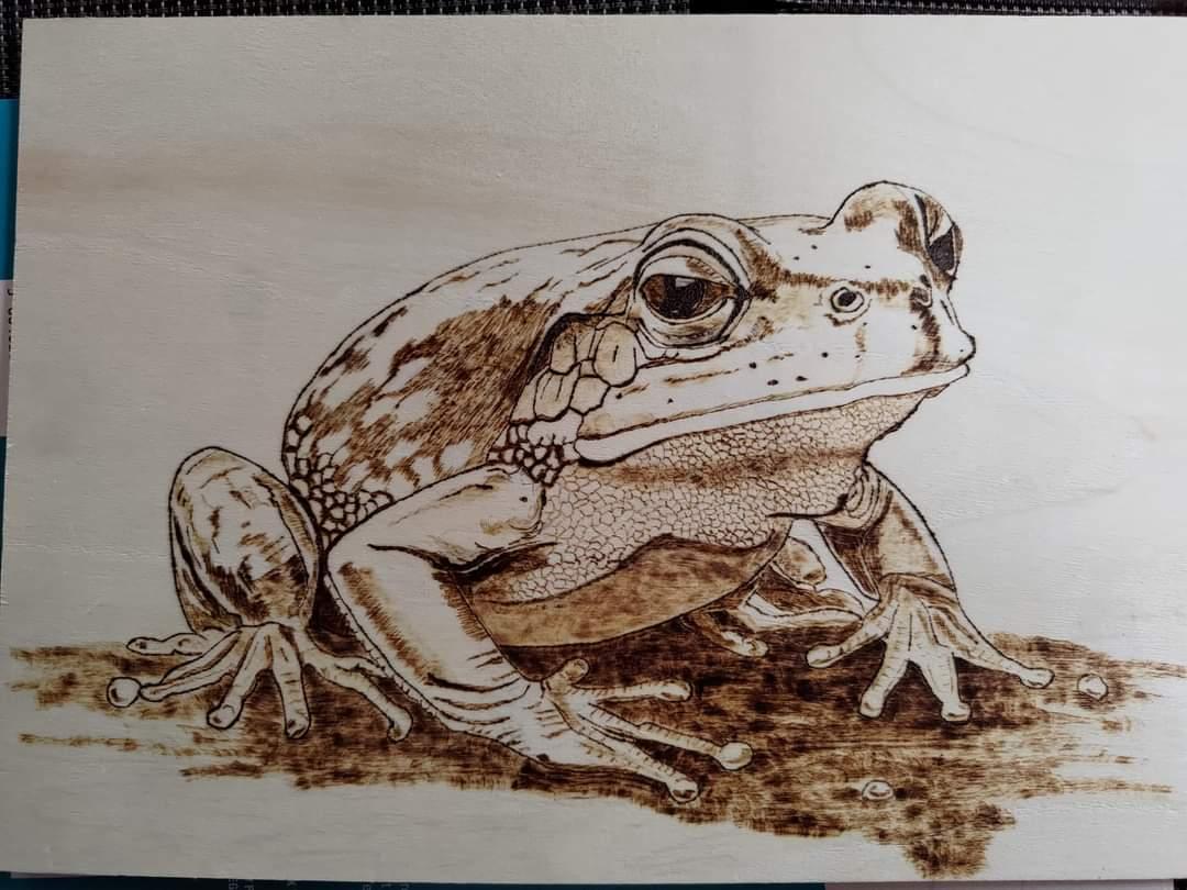 Pyrogravure sur bois fait main Grenouille pyrogravée sur bois.